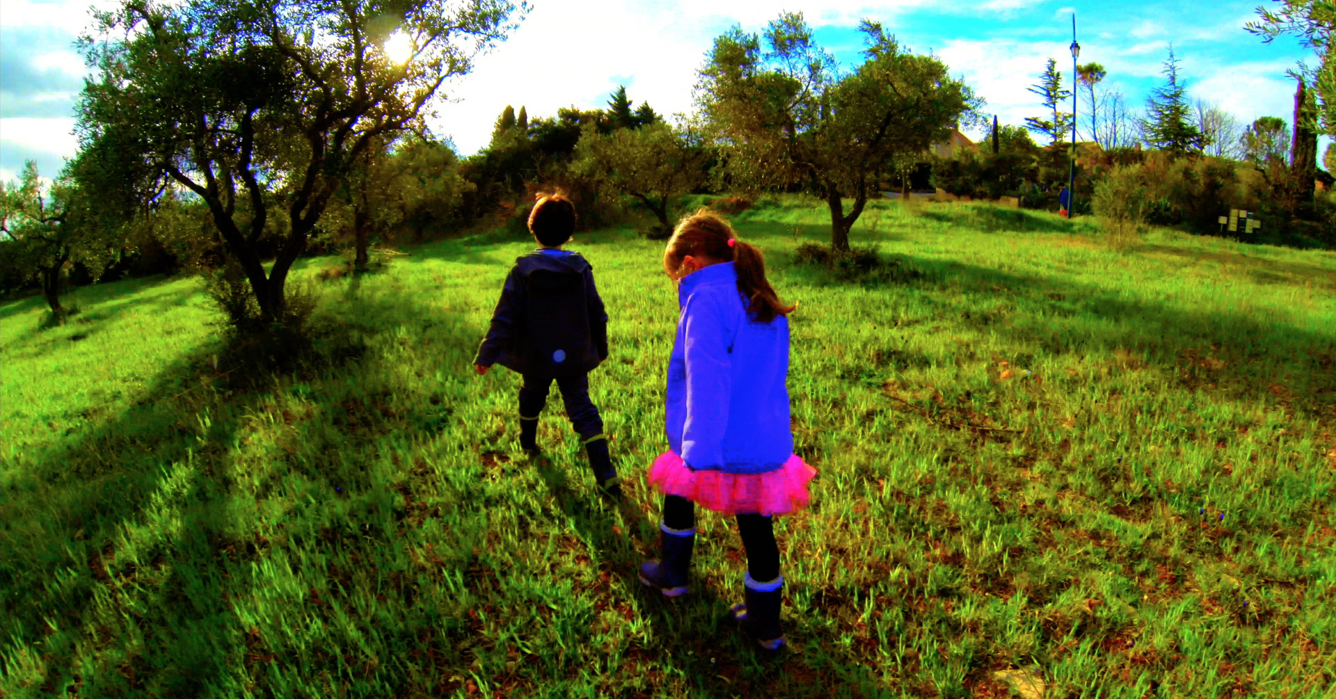 Film Review-Goodbye to Language